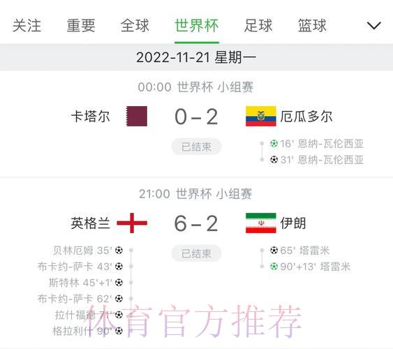 权威平台深度解析世界杯赛事比分